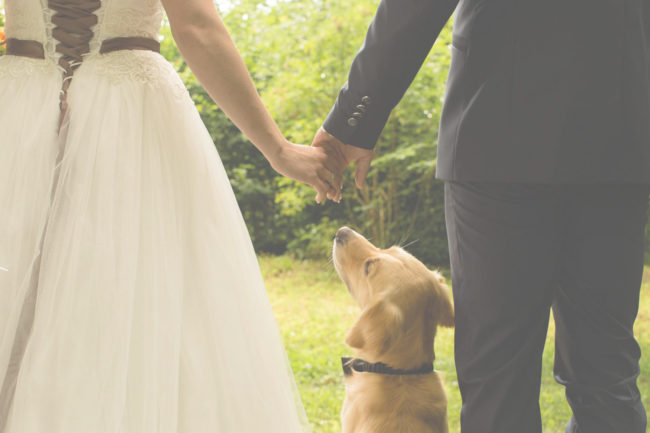 background-hochzeitsfotografie