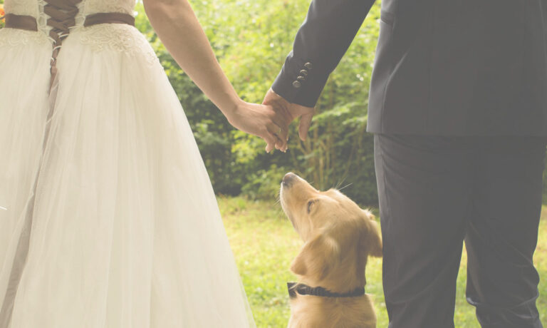 background-hochzeitsfotografie